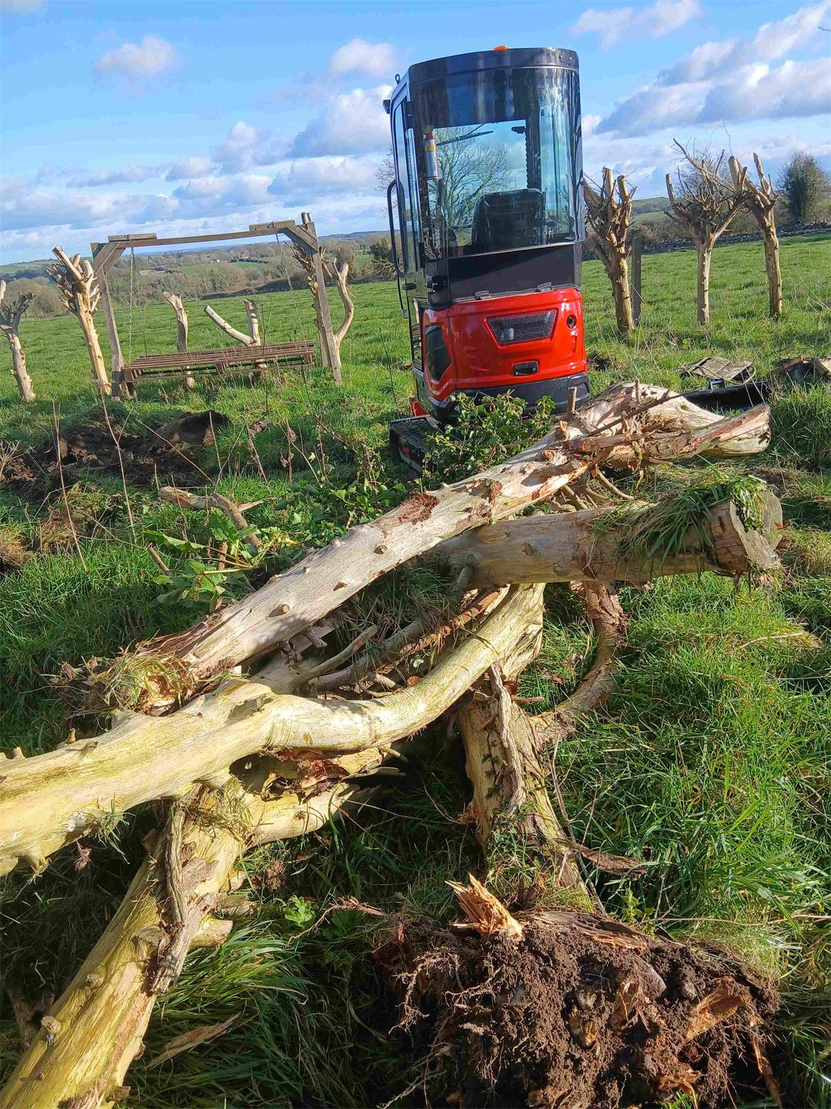 Industrial Equipment Manufacturer | Nuoman Machinery