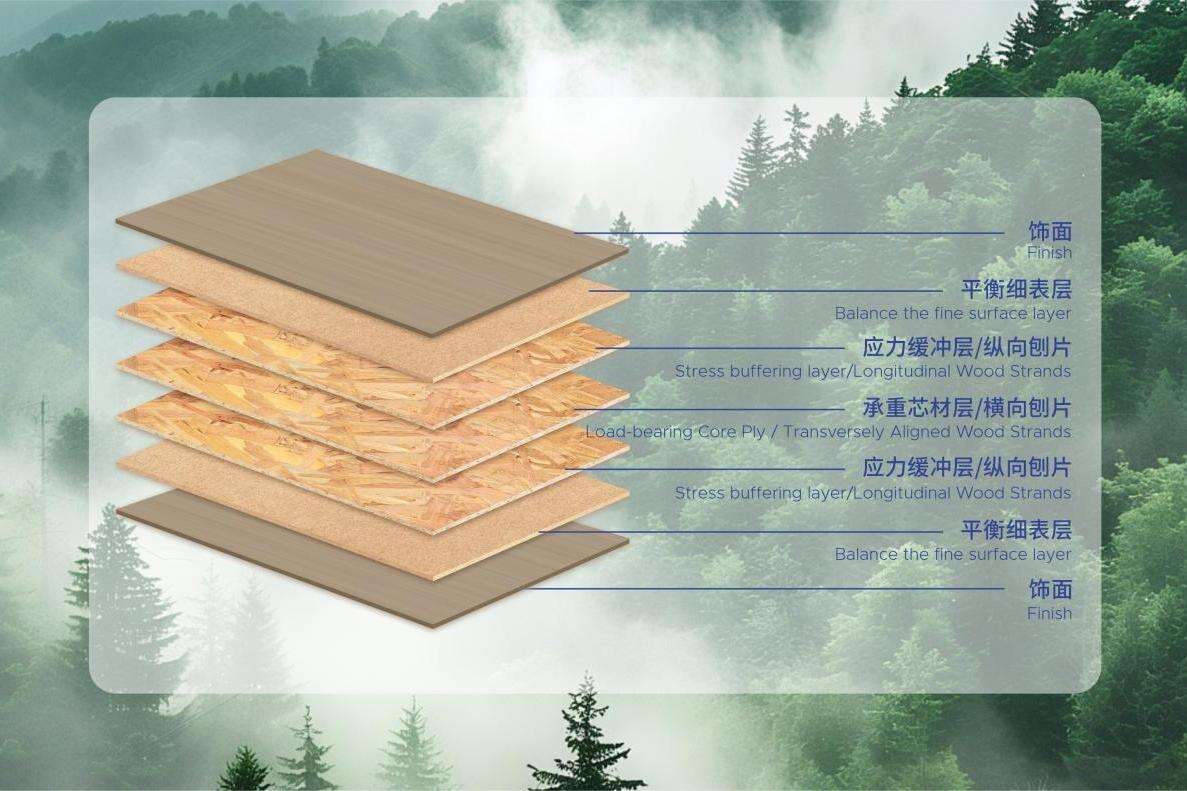 Dekek Special Decorative Panel for High-End Customization - High Performance and& High Aesthetic Appeal 
