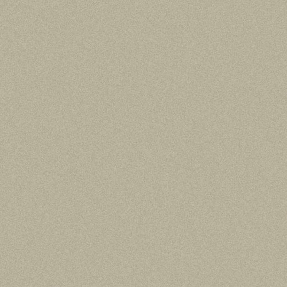 DK-C004 イエロー・パディーフィールドウィスパー