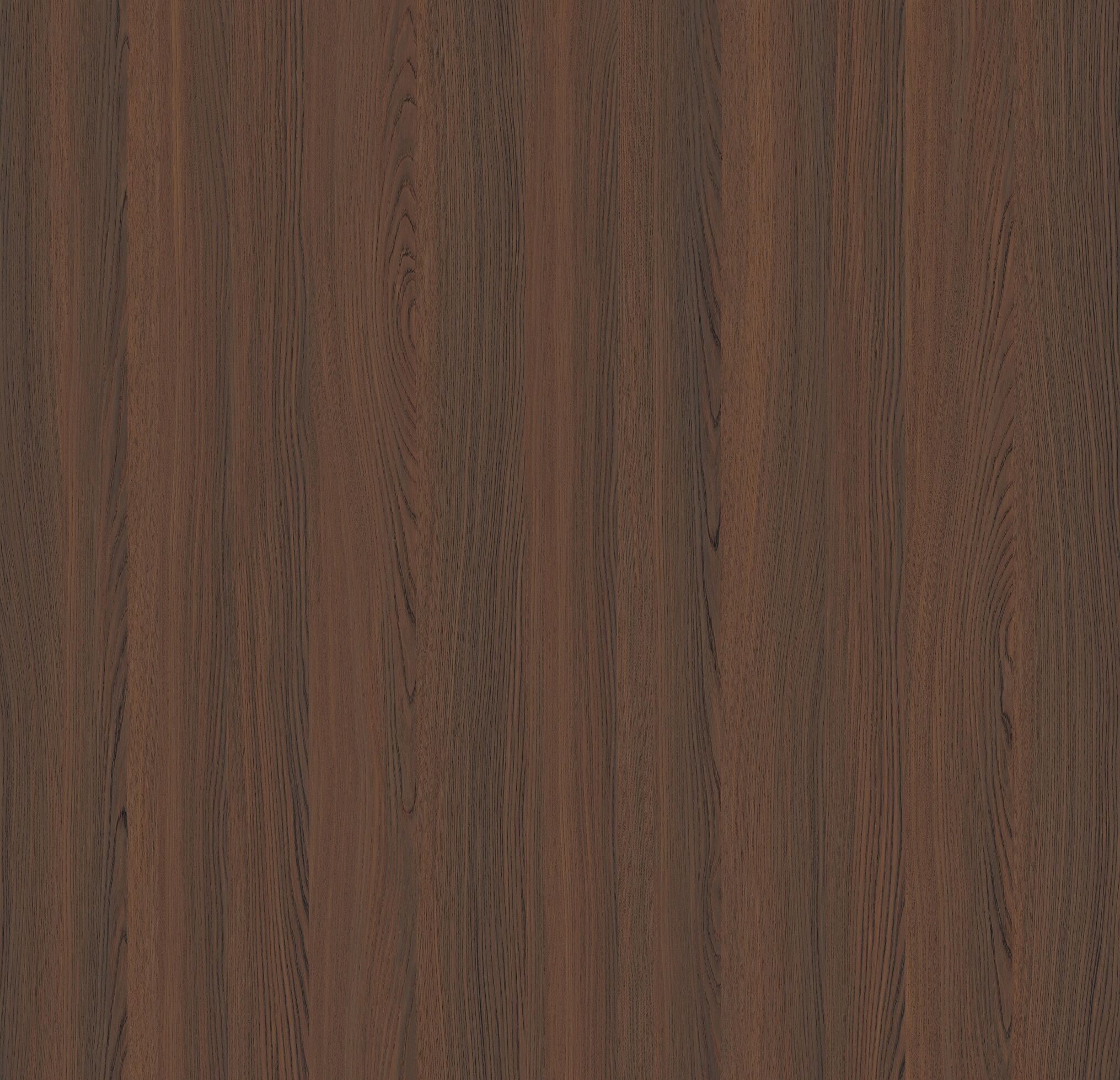 DS-M954T Hazelnut Tossini Elm