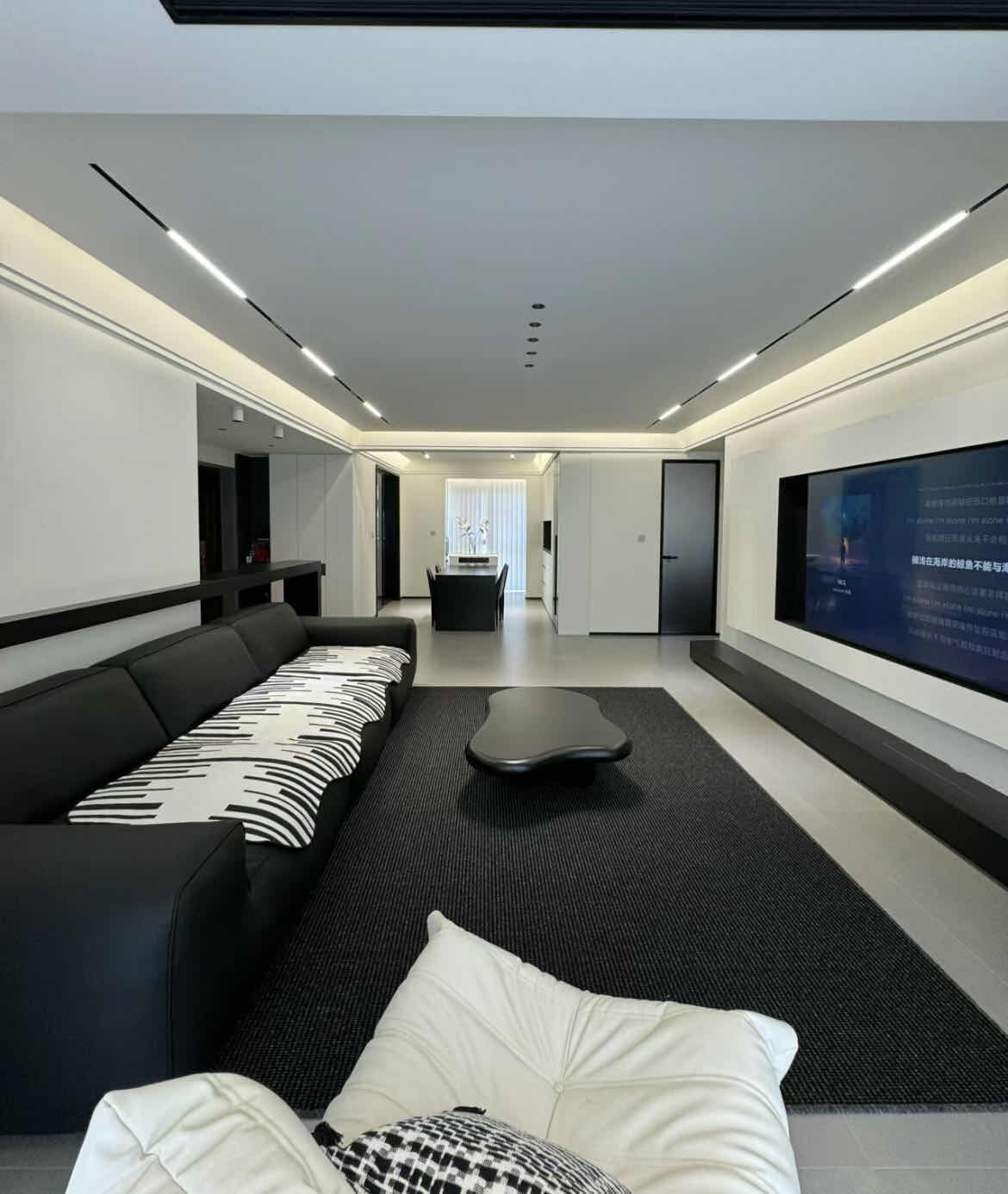 Professionele Installatie en Naadloze Integratie