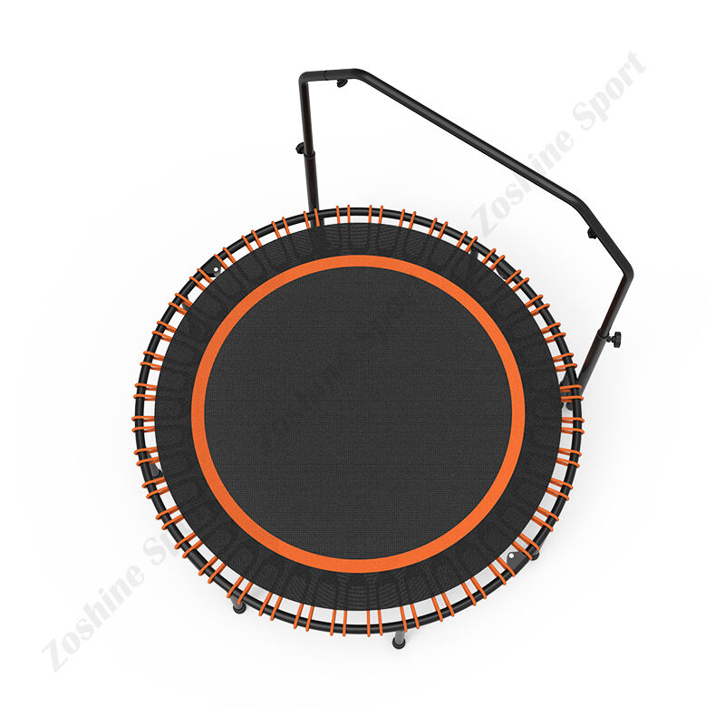 Comprehensive Full-Body Conditioning System