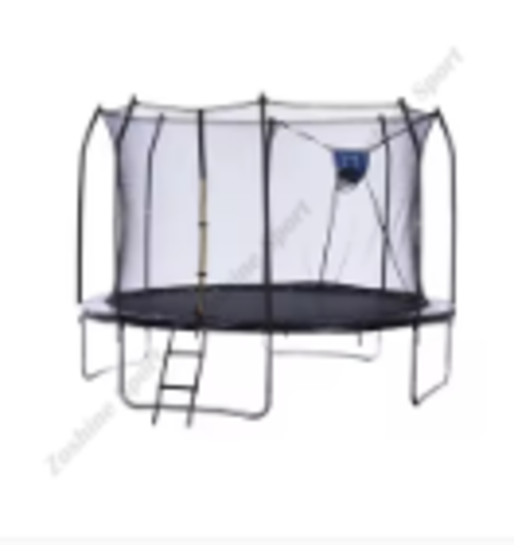 Personalized Frame Engineering and Structural Optimization