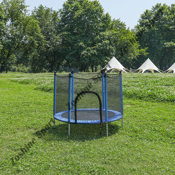 Innovation Leadership and Customer-Centric Development