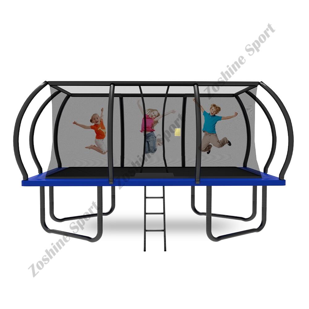 Customization Capabilities and Market Adaptability