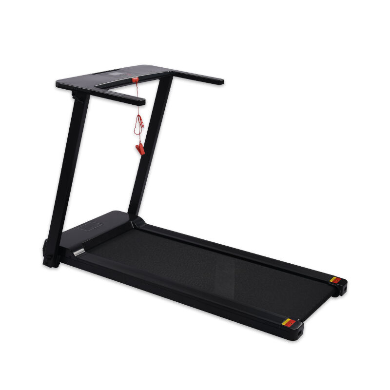 Fitness Equipment