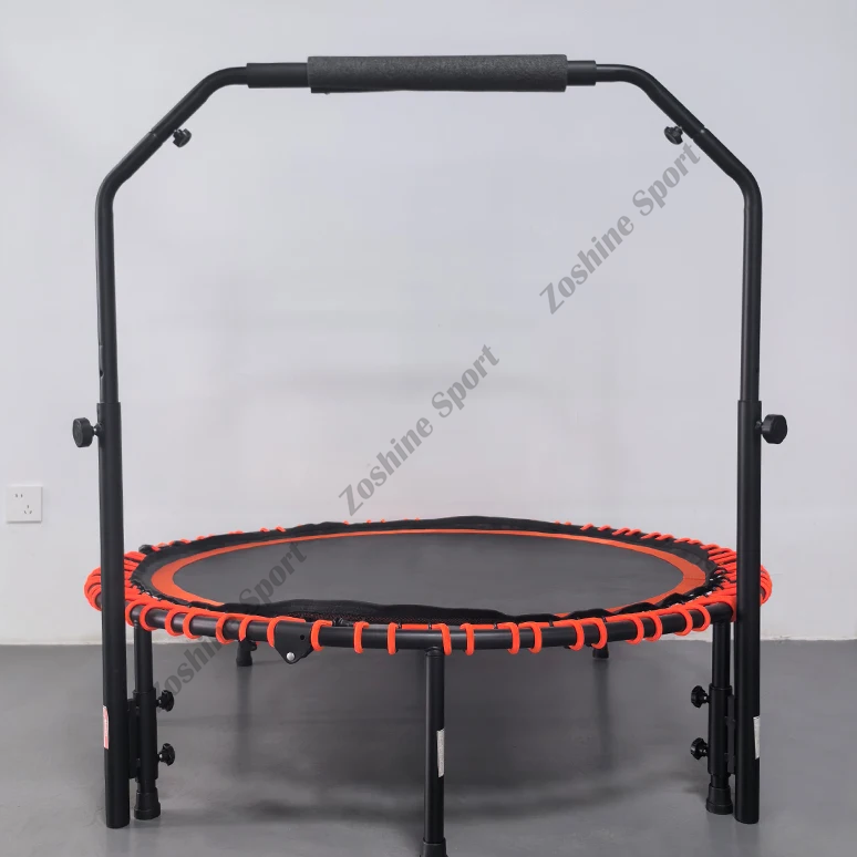 Plateforme complète de remise en forme avec capacités d'exercice à plusieurs niveaux