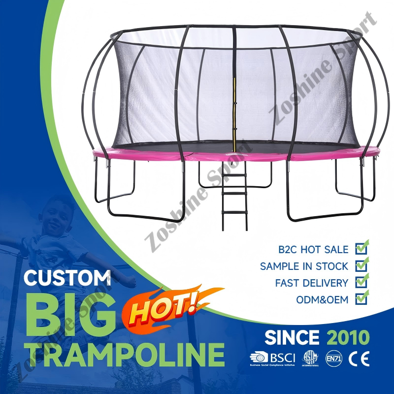 Personalized Design Solutions and Aesthetic Integration