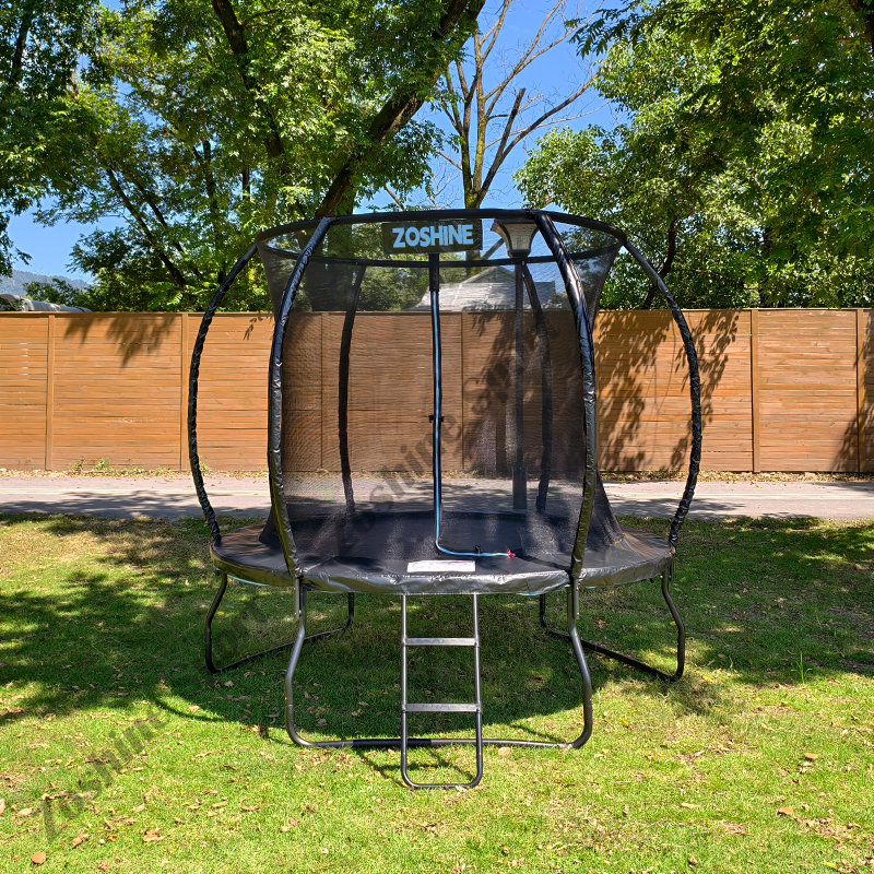 Advanced Safety Engineering and Certification Standards