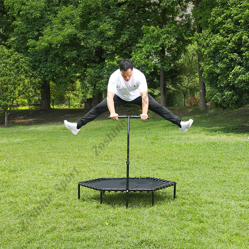 Comprehensive Full-Body Workout System