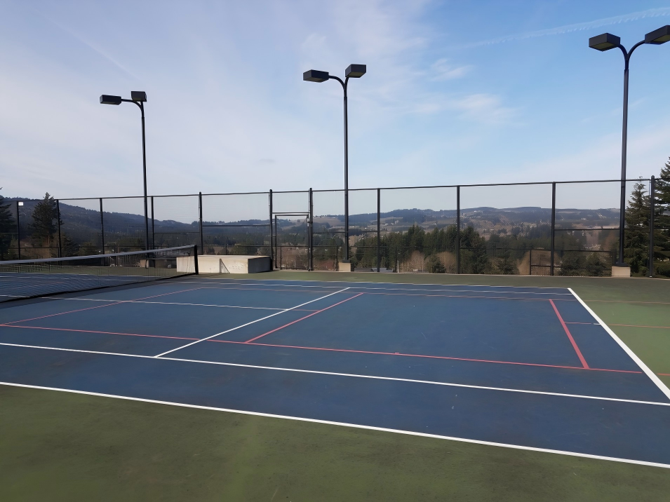 Verwandeln Sie Ihr Spiel mit hochwertigen Pickleball-Platznetzen