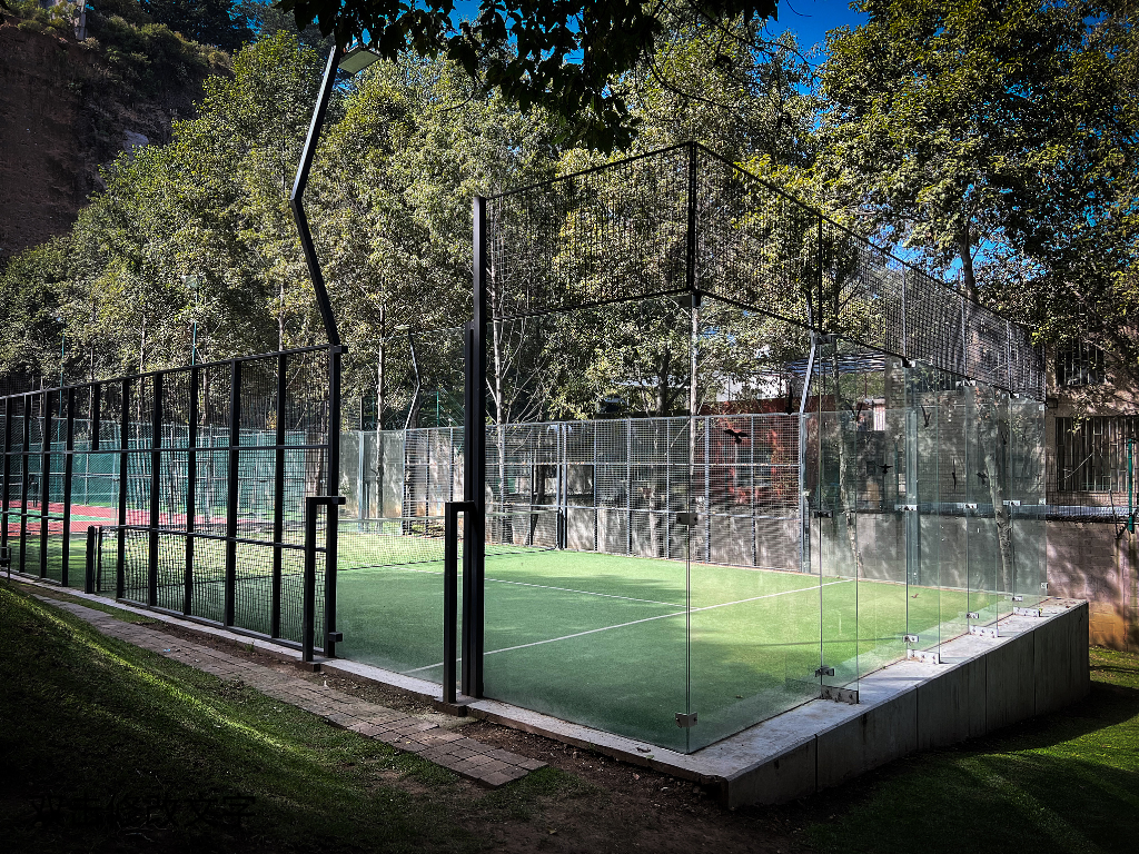Verwandeln Sie Ihren Garten in ein Pickleball-Paradies