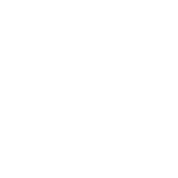 High Capacity & Global Presence