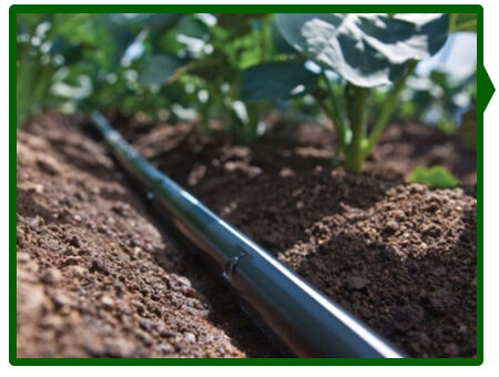 Лучшая система капельного орошения: точная подача воды для цветов, эффективное улучшение качества цветов