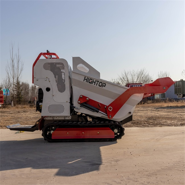 Mini Dumper: Heavy-Duty Haul for Small-Scale Projects