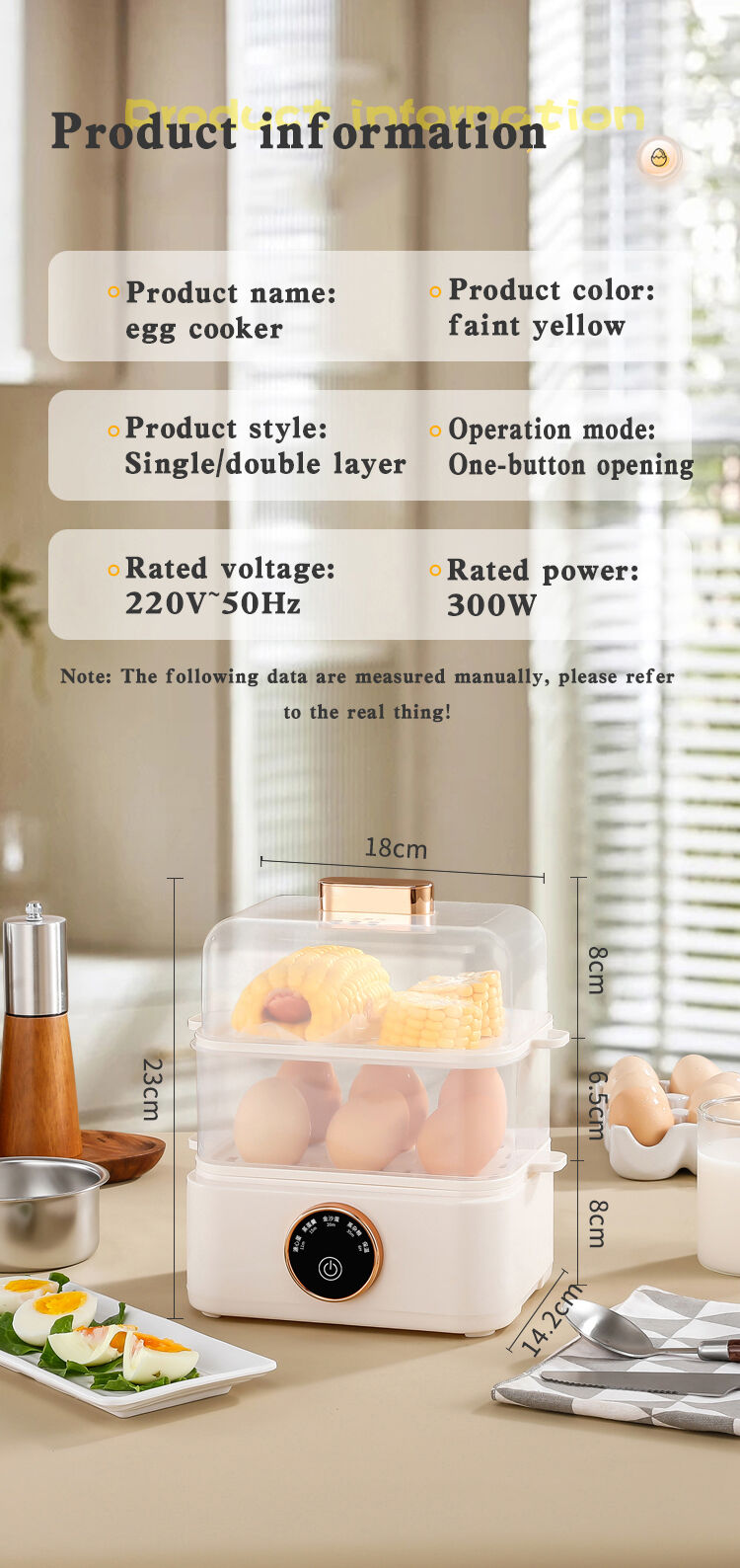 Electic Egg Steamer-1.jpg