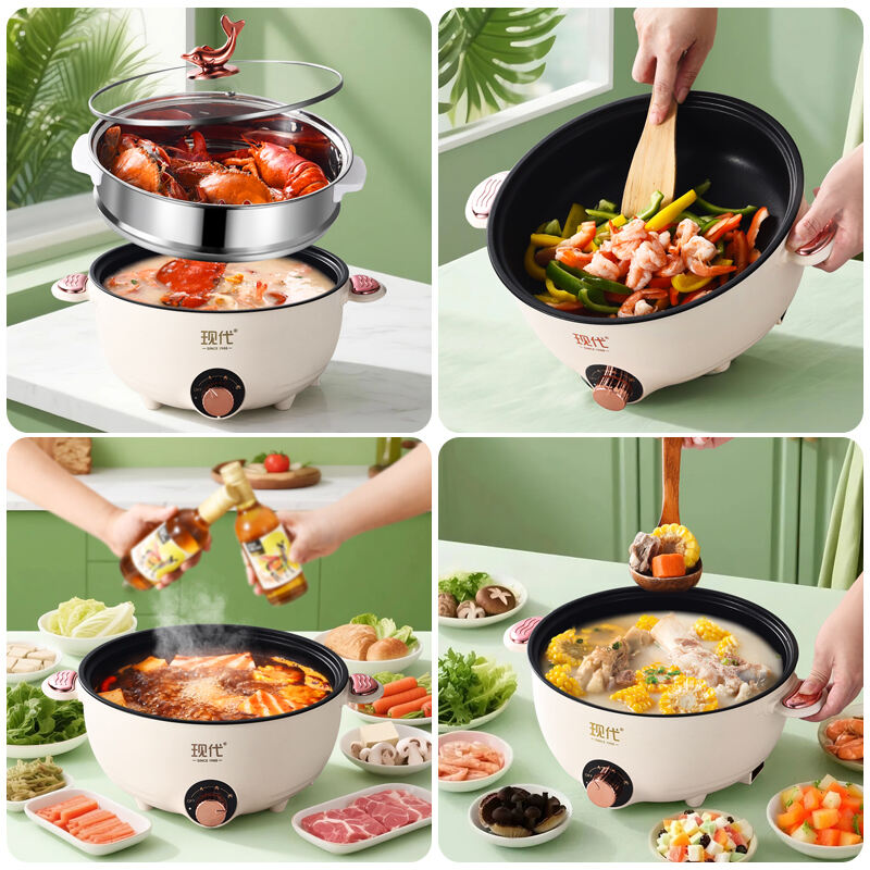 Multipurpose Electric Cooking with SS steamerB28.jpg