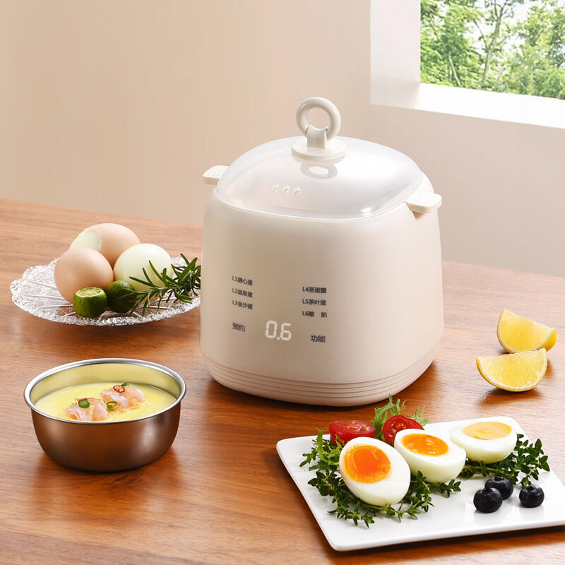 Electric Egg Cooker