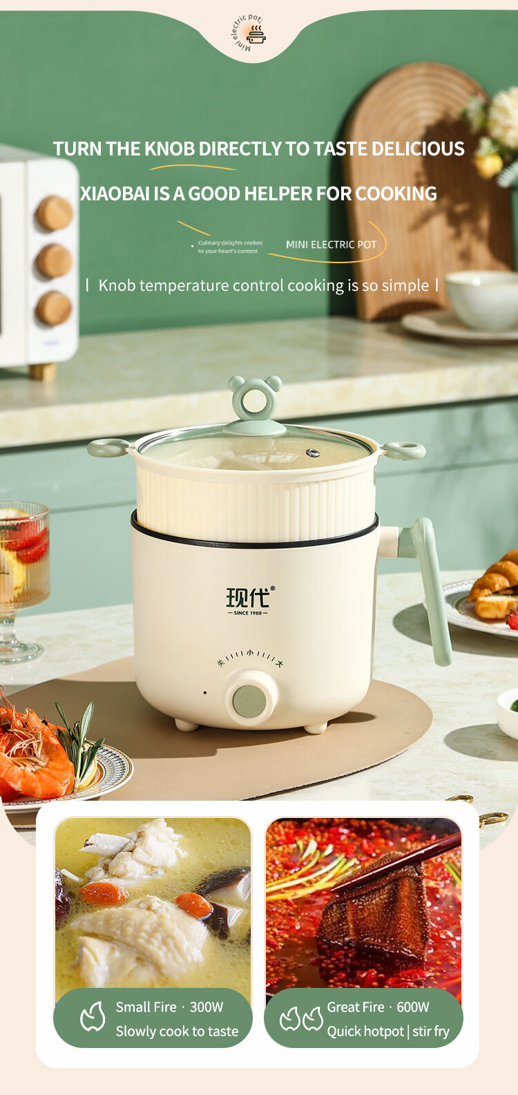星缇和星珀电煮锅英文版_06.jpg
