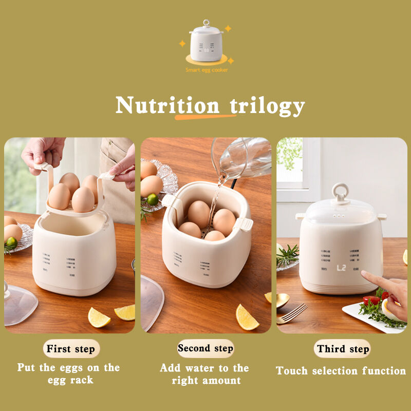 Egg Maker - Electric Egg Cooker with Auto Shut Off and AlarmA10.jpg