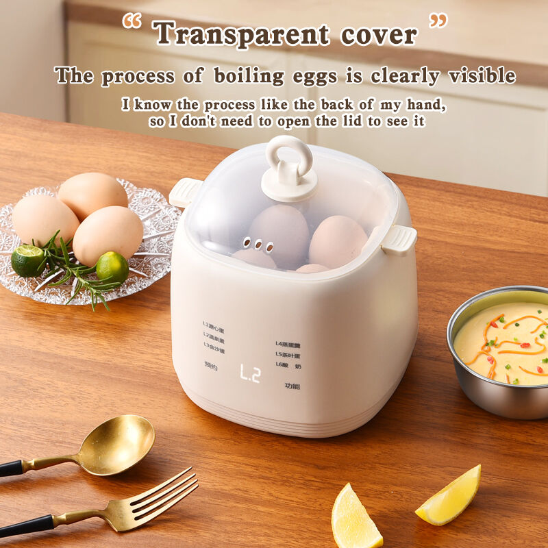 Egg Maker - Electric Egg Cooker with Auto Shut Off and Alarm (2).jpg
