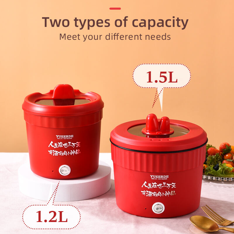 Electric Instant Noodle Pot