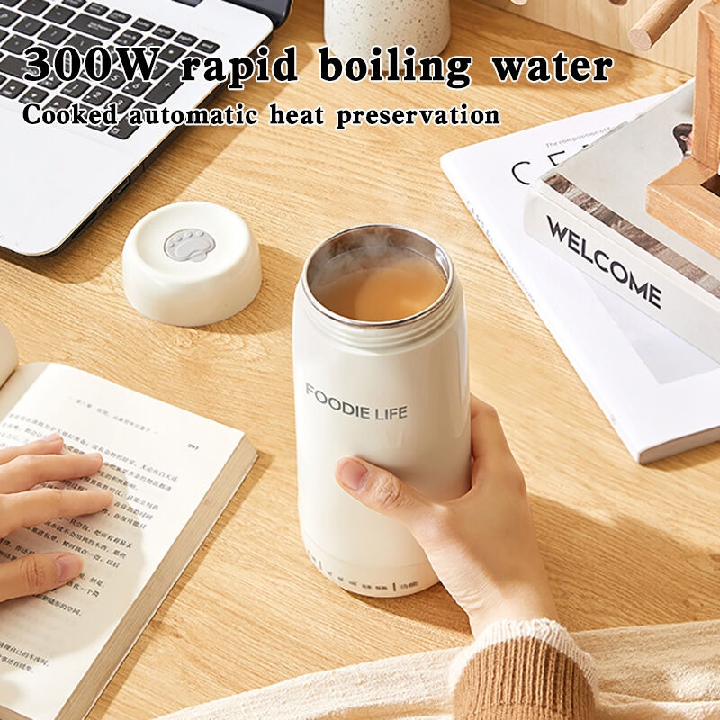 450ML portable travel electric kettle (4).jpg