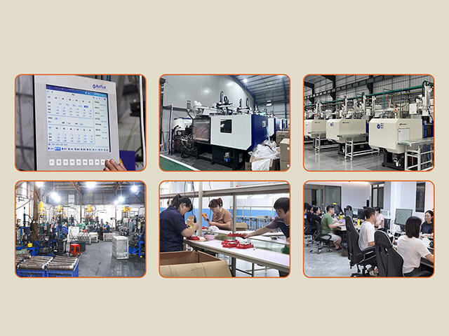 Customization Services: