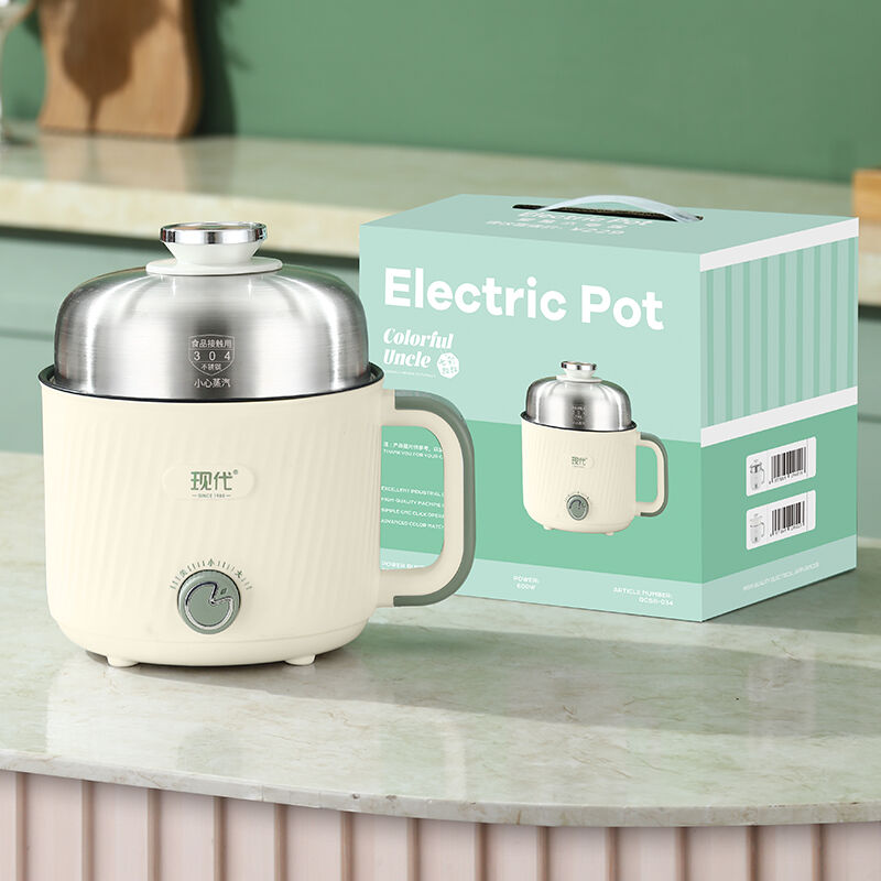 Xingteng Small Electric Pot