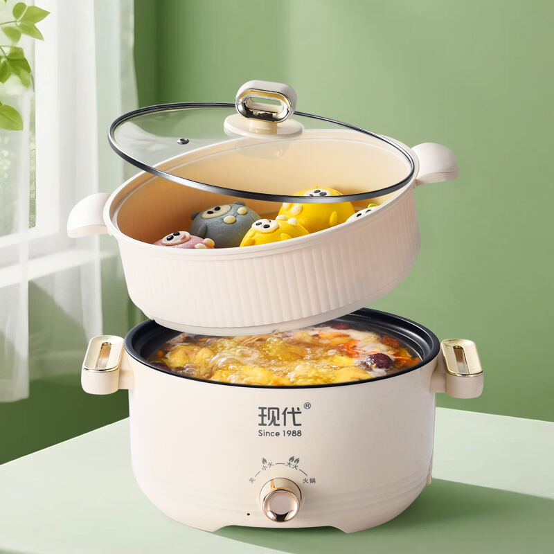 Electric cooking pot with PP steamer