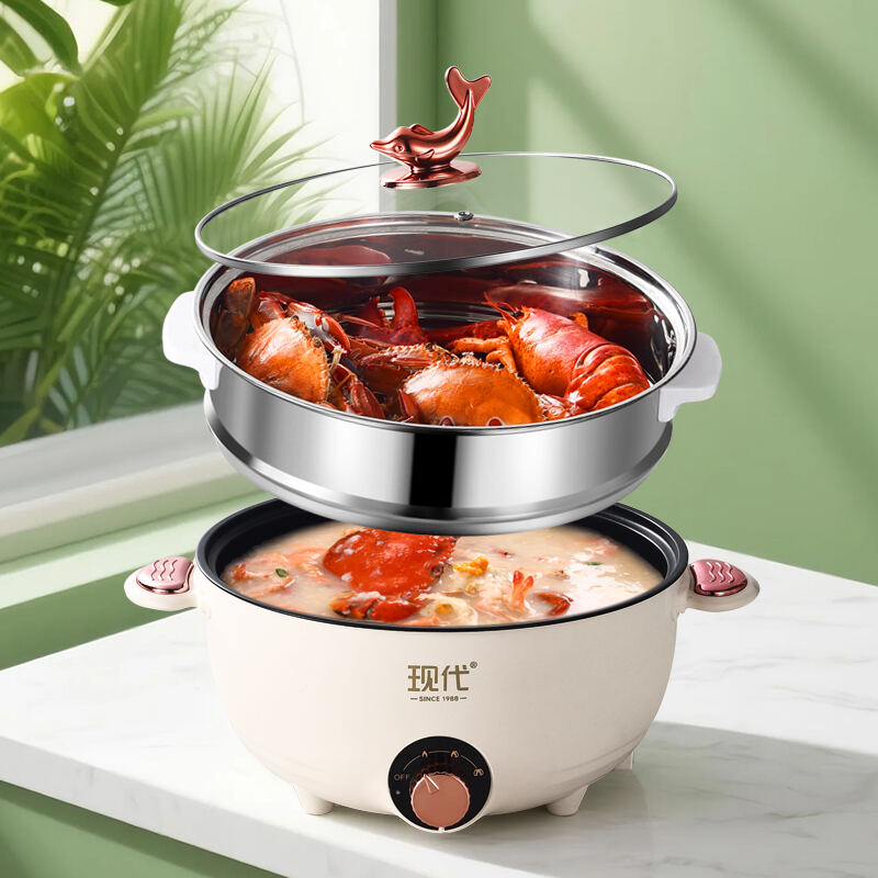 Electric Cooking Pot