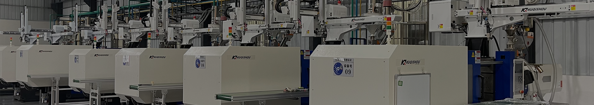 electric egg steamer-0