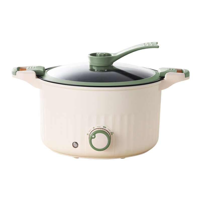 Electric Pressure Cooker