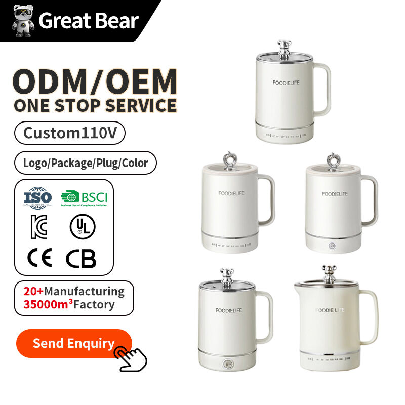 Electric Household Kettle With Fashional Style