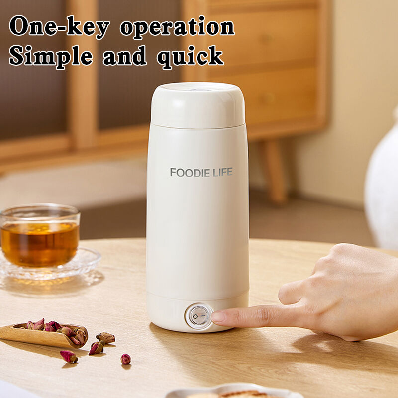 450ML portable travel electric kettle (2).jpg