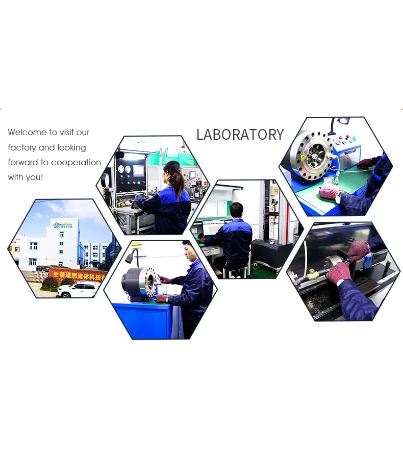 brass forged 3 ways sight glass test and drain valve for fire hydrant bj51001a-3