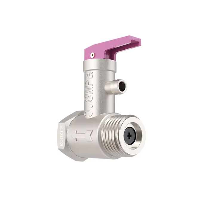 Brass  Safety  Relief Valve For Electric Water Heater BJ41004