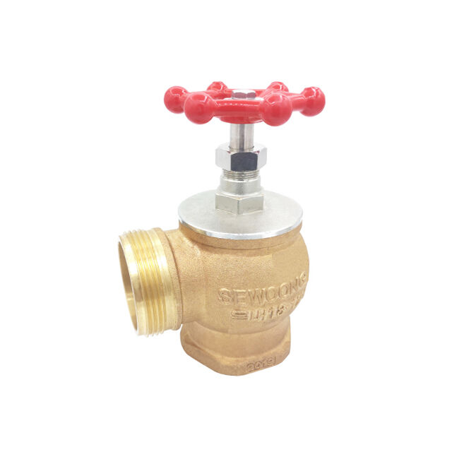 Bronze Fire Hydrant Hose Angle Valve for Firefighting System BJ51007