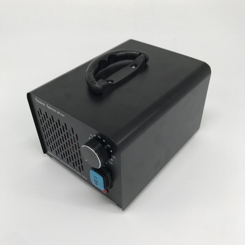 Multifunctional 2 in 1 air and Water Purification 10g/H 500mg/H Ozone O3 Generator Machine