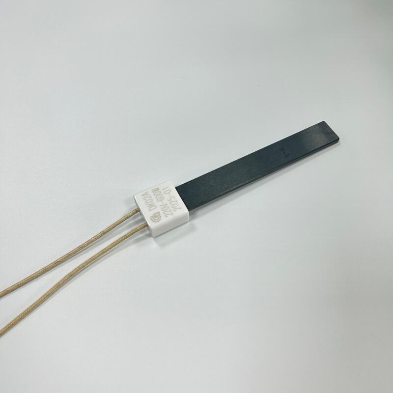 Custom110 V 220V Silicon Nitride Ceramic Igniter 280W 600W Si3N4 Ceramic Heater