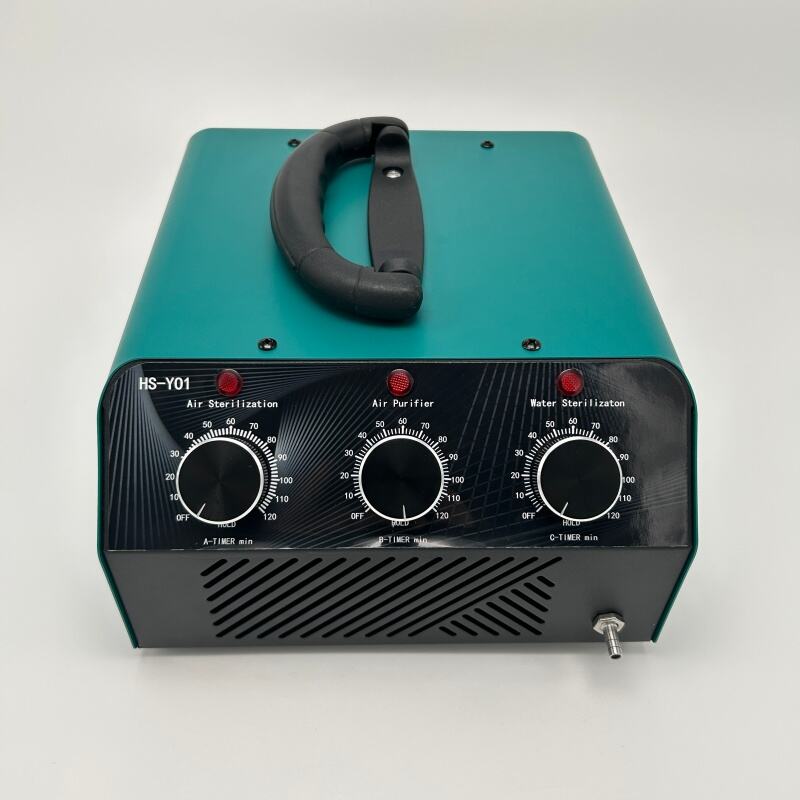 Smart Reusable Home Ozone Ozono Sterilizer Air Purifier 10g Ozone Generator Machine
