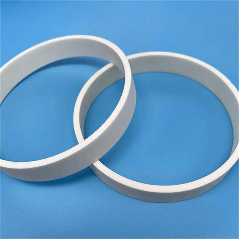 alumina ceramic ring (4).jpg