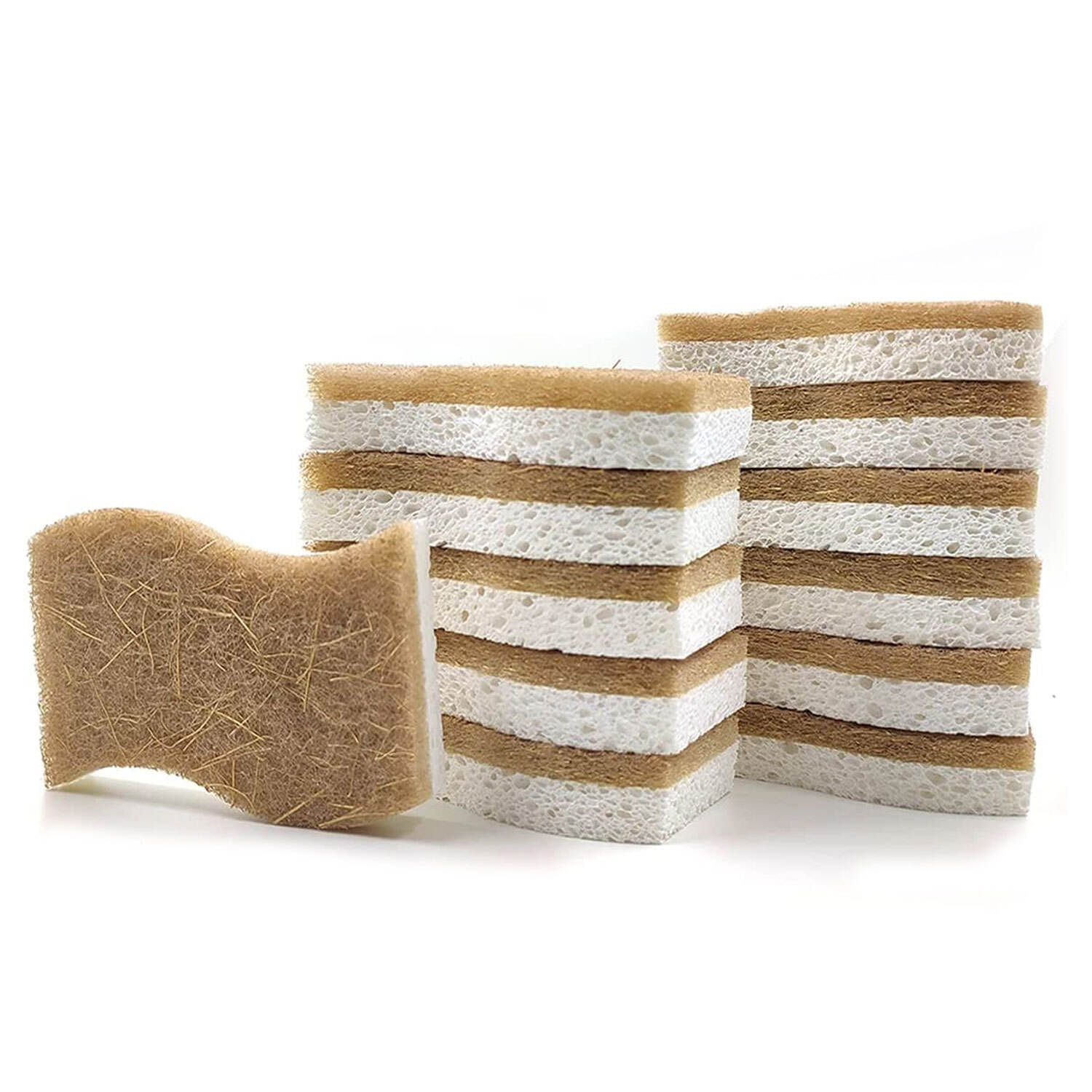 biodegradable sponge2.jpg