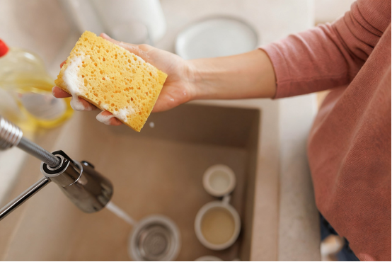 Cellulose Sponge or Regular Sponge Which One Wins?