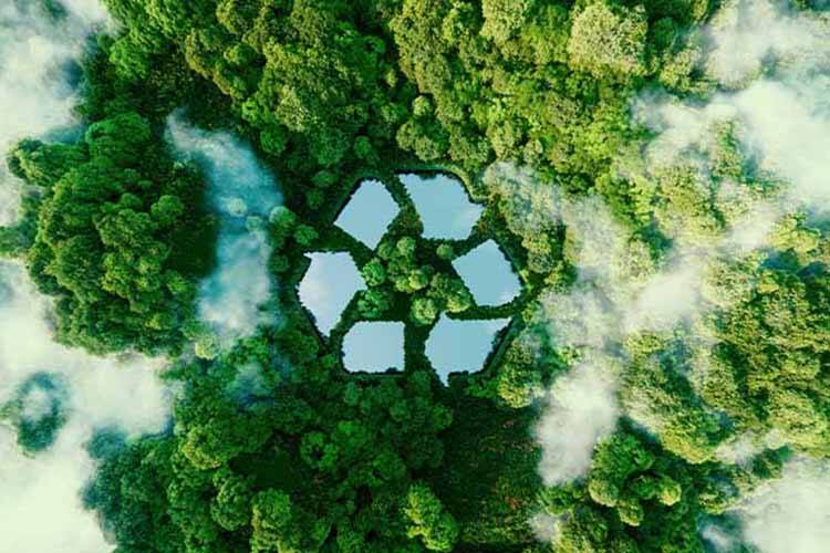 Soluciones Conscientes del Medio Ambiente
