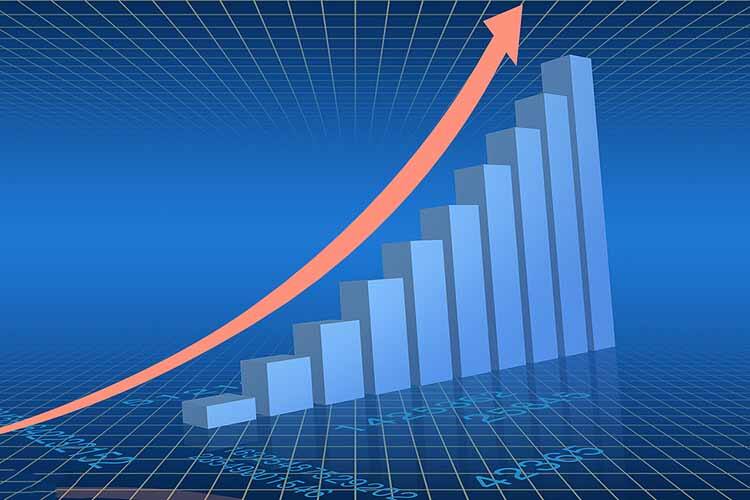 Presencia en el mercado global