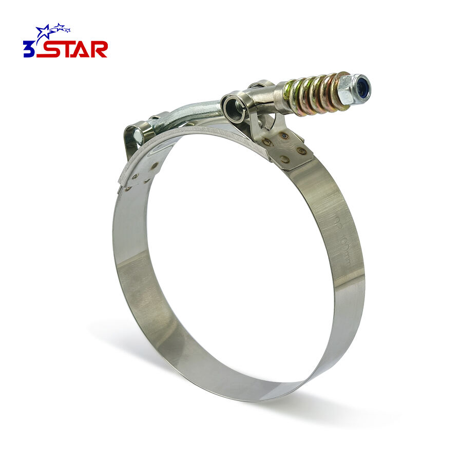 Morsetto per tubo a bullone a T con molla piccola