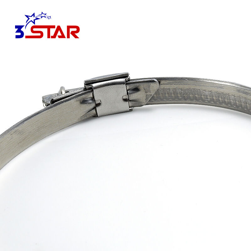 Aleman na Walang Ngipin na Panloob na Bandang Offset na Hose Clamp