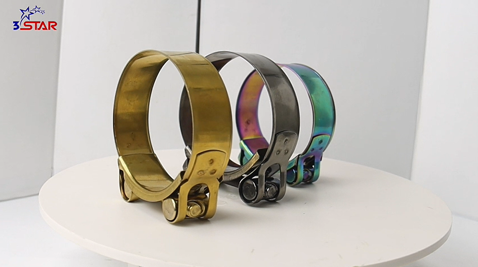 European Type Titanium Plating Hose Clamps