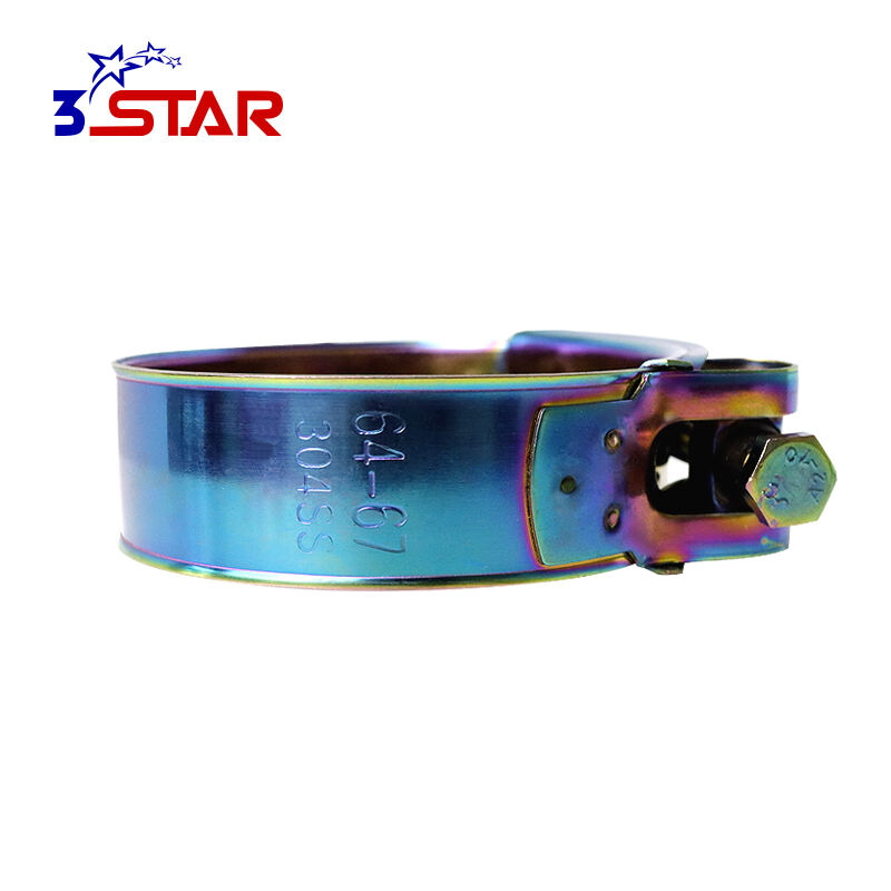 European Type Titanium Plating Hose Clamps